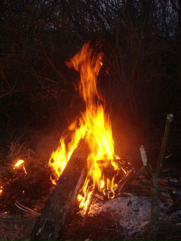 Вася Спирькин фотография #1