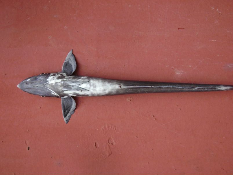 Борис Дымов фото №38