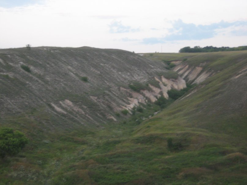 Андрей Тимченко фотография #48