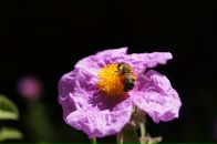 Іринка Лемішевська фотография #29 (источник - https://vk.com/id78724158)