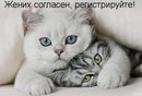 Соломійка Корчинська фотография #32 (источник - https://vk.com/id159285782)