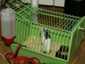 Віталік Талько фотография #33 (источник - https://vk.com/id93295017)