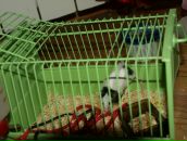 Віталік Талько фотография #48 (источник - https://vk.com/id93295017)