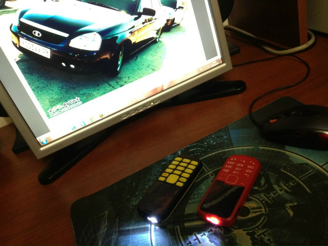 Black Wolf фотография #11