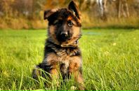 Анна :) фотография #50 (источник - https://vk.com/id64853105)