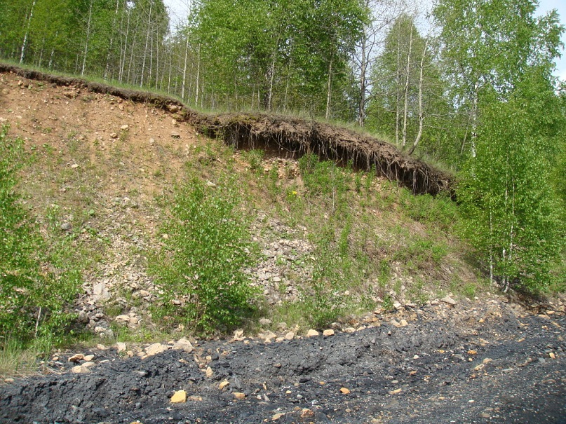 Иван Васильевич фотография #21