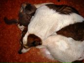 Фотография Мельниковой Светланы