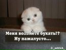 Діма Оніщук фотография #13 (источник - https://vk.com/id50333100)