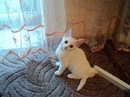 Наталія Черваток фотография #38 (источник - https://vk.com/id142432282)