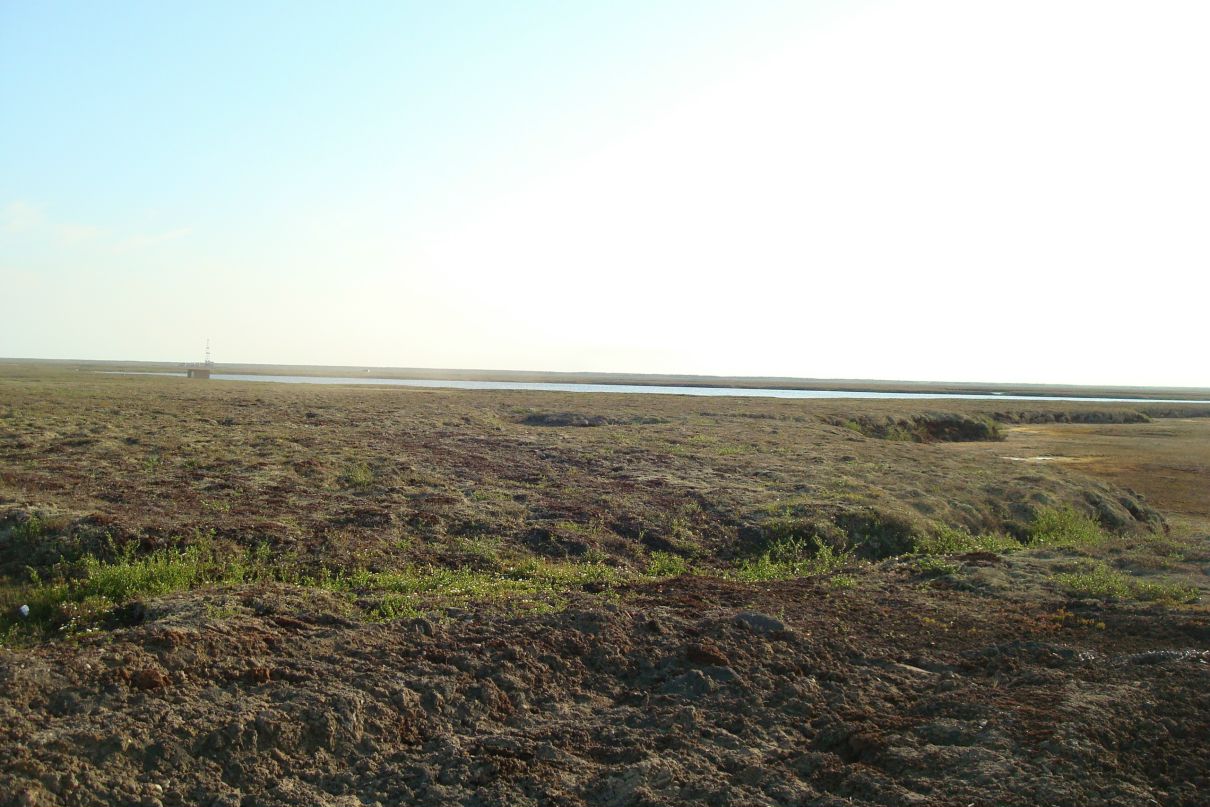 Артур Фаилович фотография #40