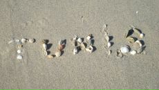 Олена Дівченко фотография #18 (источник - https://vk.com/id6475327)