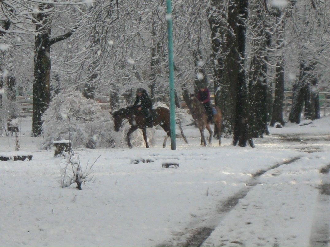 Илья Ерошенко фотография #10