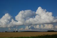 Фотография Синкевич Жанны