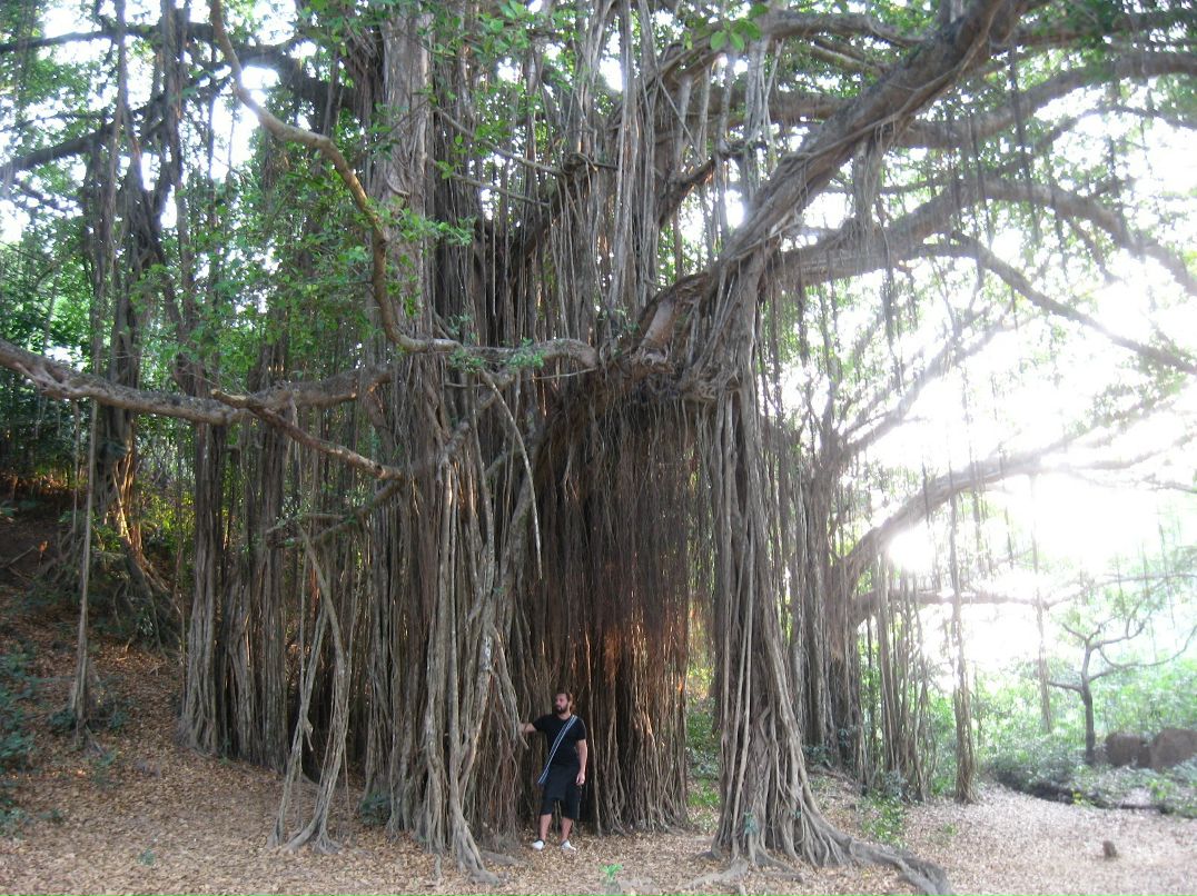 Айрина Петрова фотография #47