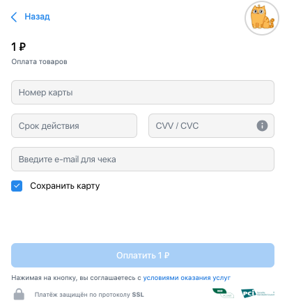Payment window VK Pay
