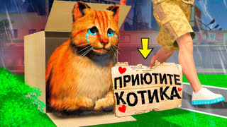 GTA 5 - ЭТОГО КОТЁНКА НИКТО НЕ ХОЧЕТ ПРИЮТИТЬ В ГТА 5 ! Я СТАЛ КОТОМ НА 24 ЧАСА В GTA 5